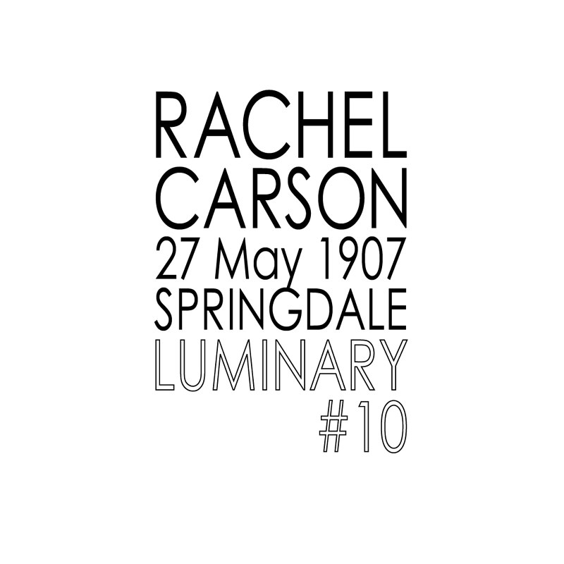 Luminary #10, Rachel Carson Luminary #10, Rachel Carson by Amarie Bergman