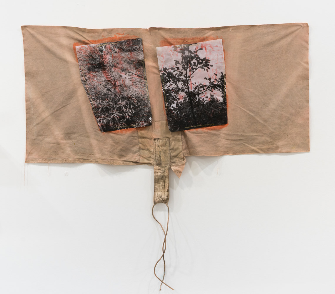 Return to: Diffracting of Light and of Land Wildfire sun exposures after heat dome (x3), by Bush Gallery