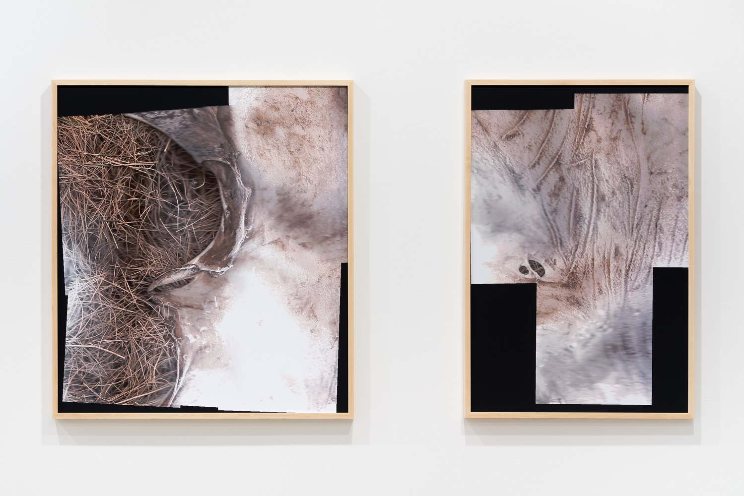 Return to: Diffracting of Light and of Land Photography OPTICA (9 of 38) by Bush Gallery