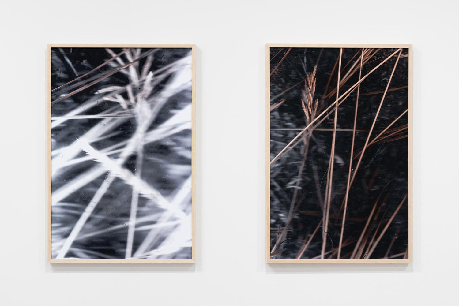 Return to: Diffracting of Light and of Land Photography OPTICA (31 of 38) by Bush Gallery