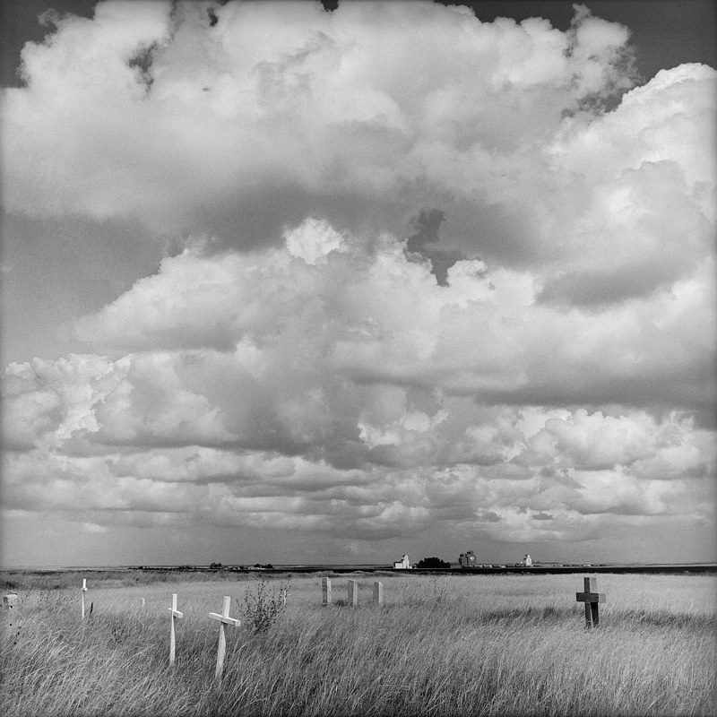 Pioneer Graveyard Pioneer Graveyard by Susan Martin