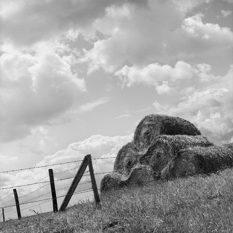 Flying Bales Flying Bales by Susan Martin