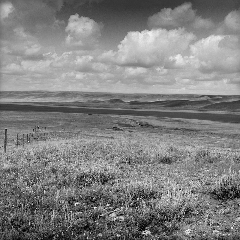 I Saw the Wind I Saw the Wind by Susan Martin
