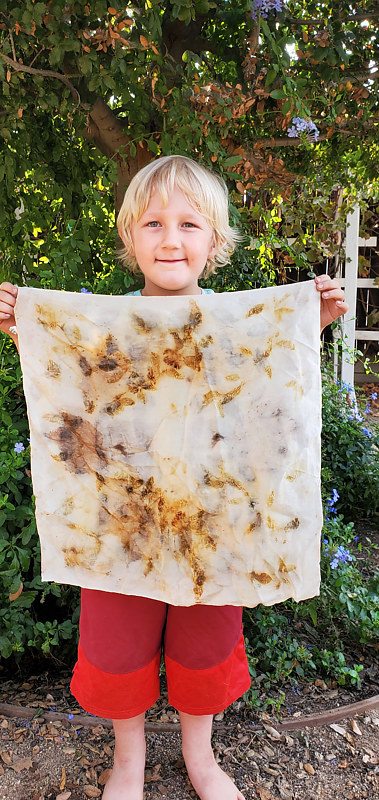 Eco Printed Silk Scarf 051 Print Eco Printed Silk Scarf 051 by Jacqueline Bell Johnson