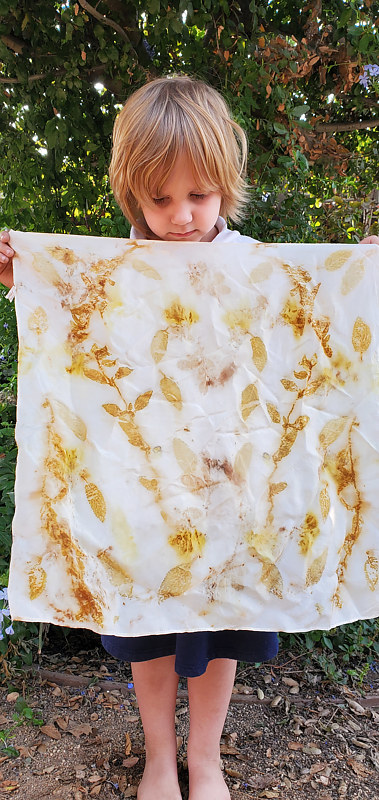 Eco Printed Silk Scarf 052 Print Eco Printed Silk Scarf 052 by Jacqueline Bell Johnson