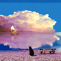 Life of 'Pi, My Pondering Cat' //images.artistrunwebsite.com/gallery/img_3353571638943431_large.jpg?1651553127