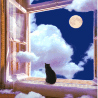 My Black Cat Pi- Pondering Moon & Stars //images.artistrunwebsite.com/gallery/img_3397451647477863_large.gif?1651553127