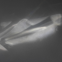 Light dream 2022_2543 //images.artistrunwebsite.com/gallery/img_3400521648190527_large.jpg?1648190560