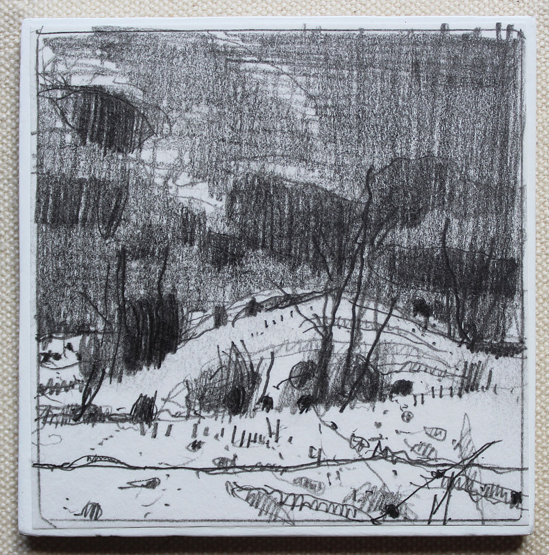 Secret Field, Overcast Drawing Secret Field, Overcast by Harry Stooshinoff