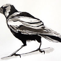 West End Crow, 2022 //images.artistrunwebsite.com/gallery/img_3445921658977133_large.jpg?1658977424