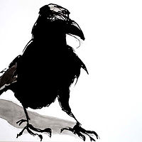 Crow 5, 2019, SOLD //images.artistrunwebsite.com/gallery/img_3445981658978111_large.jpg?1658978252