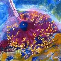 74919CD4-AFC6-475D-9D3D-C0B9A4AB3A79 //images.artistrunwebsite.com/gallery/img_3460101661464211_large.jpeg?1661464216