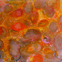 Hepatitis C //images.artistrunwebsite.com/gallery/img_3460211661464356_large.jpeg?1661488753