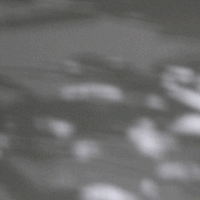 shadowdrift //images.artistrunwebsite.com/gallery/img_371101364758598_large.gif?1425008073