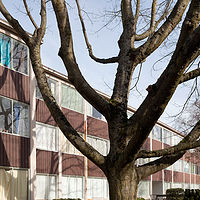 Tenant //images.artistrunwebsite.com/gallery/img_401331767834_large.jpg?1616591757