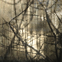 studiowindow_4966 //images.artistrunwebsite.com/gallery/img_417711366347264_large.jpg?1425008114