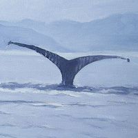 Fluke //images.artistrunwebsite.com/gallery/img_426921366606682_large.jpg?1527246951