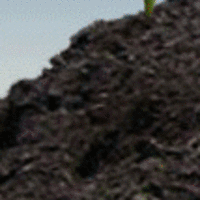 MRGLD_FTRS_01 //images.artistrunwebsite.com/gallery/img_441911367199817_large.gif?1425014136