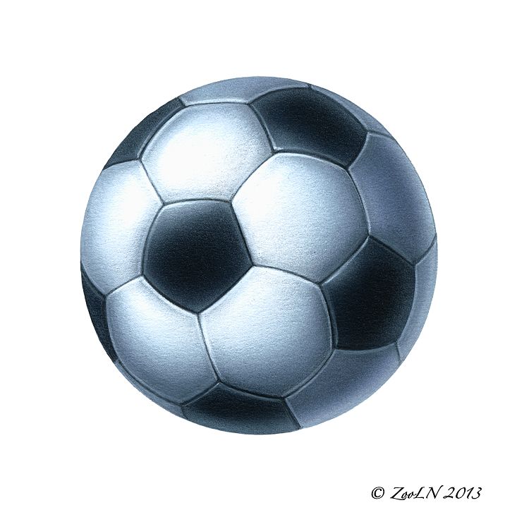 Soccer Print Soccer by Sue Ellen Brown