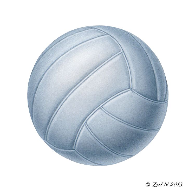Volleyball Print Volleyball by Sue Ellen Brown