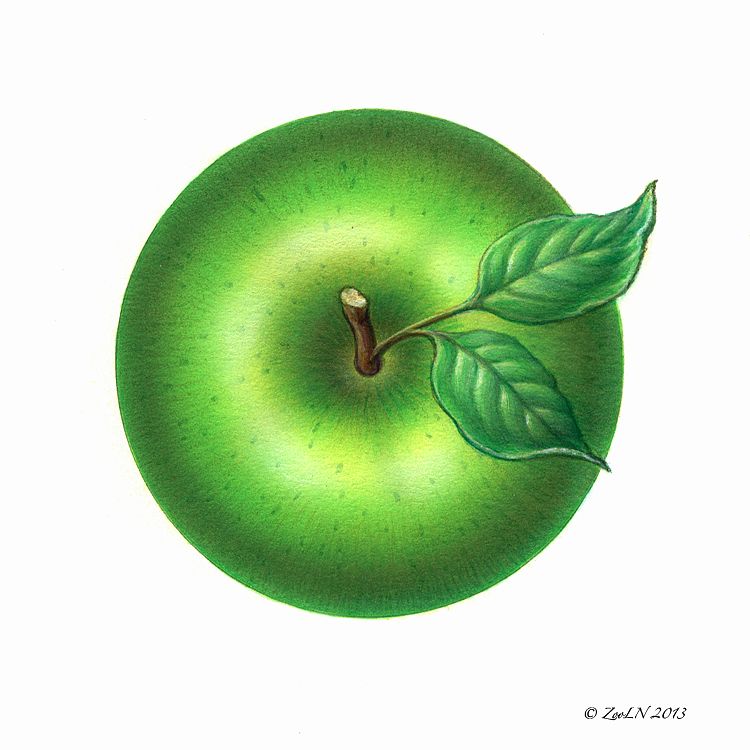 Apple Green Print Apple Green by Sue Ellen Brown