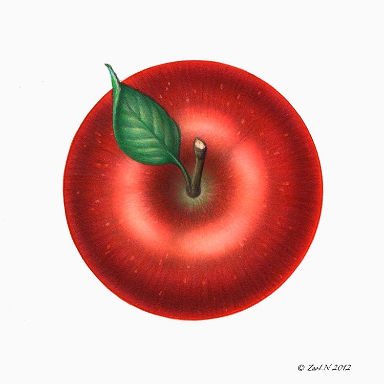 Apple Red Print Apple Red by Sue Ellen Brown