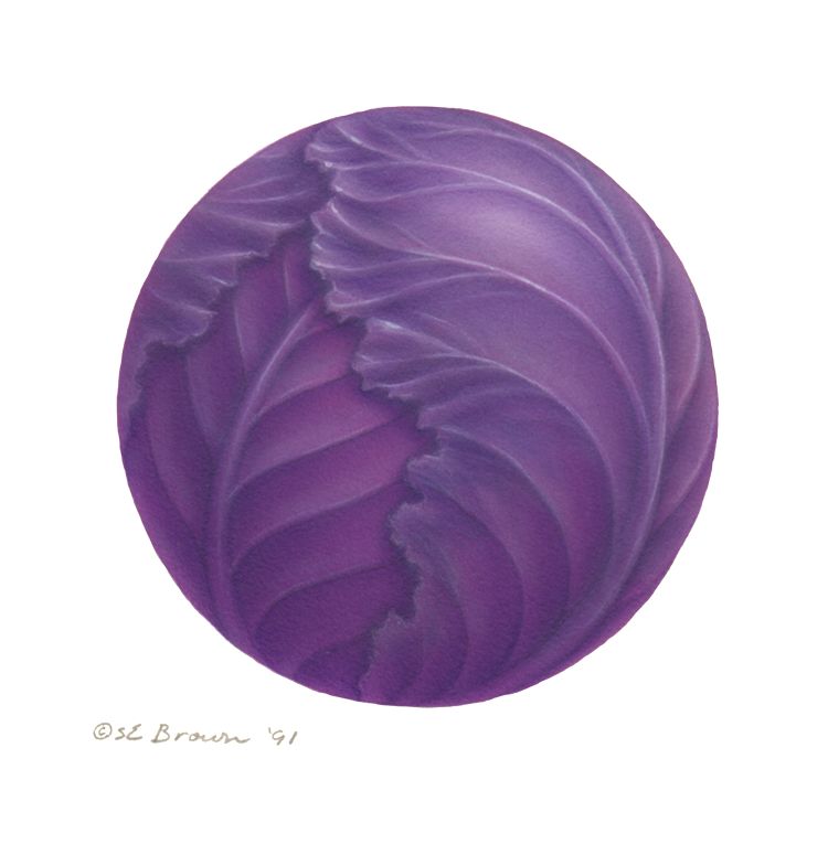 Purple Cabbage Print Purple Cabbage by Sue Ellen Brown