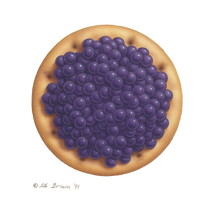 Caviar on an Oyster Cracker Print Caviar on an Oyster Cracker by Sue Ellen Brown