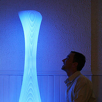 Hoodoo Lamp (Designed by: Greg Ball and Shoko Cesar) //images.artistrunwebsite.com/gallery/img_4781337960793_large.jpg?1486946104