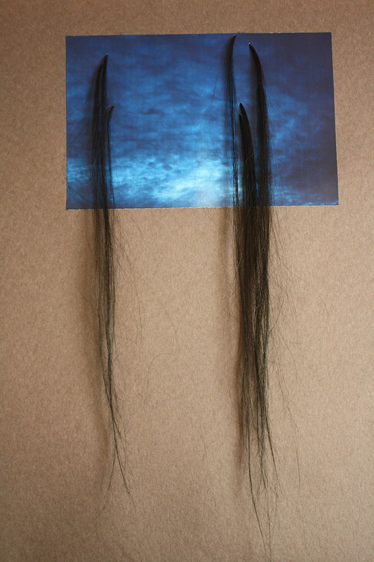 Sky with Hair Photography Sky with Hair by Sharon Hunter