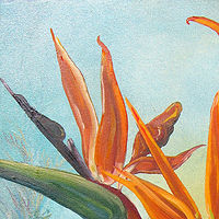 Birds Of Paradise //images.artistrunwebsite.com/gallery/img_525081370437943_large.jpg?1425019079