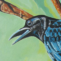 Crow //images.artistrunwebsite.com/gallery/img_525121370438086_large.jpg?1425019089