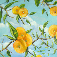 The Orange Tree //images.artistrunwebsite.com/gallery/img_525451370441095_large.jpg?1425019136