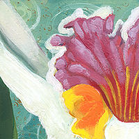 White Orchid //images.artistrunwebsite.com/gallery/img_525511370441621_large.jpg?1425019143