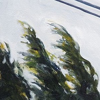 Wind Storm //images.artistrunwebsite.com/gallery/img_533441370833973_large.jpg?1527246892