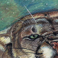 Cougar //images.artistrunwebsite.com/gallery/img_549241371814191_large.jpg?1425019215