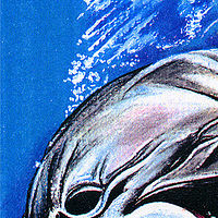 Smiling Dolphin //images.artistrunwebsite.com/gallery/img_549341371814413_large.jpg?1425019236