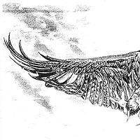 The Eagle and the Shaman Woman //images.artistrunwebsite.com/gallery/img_549391371814567_large.jpg?1425019255