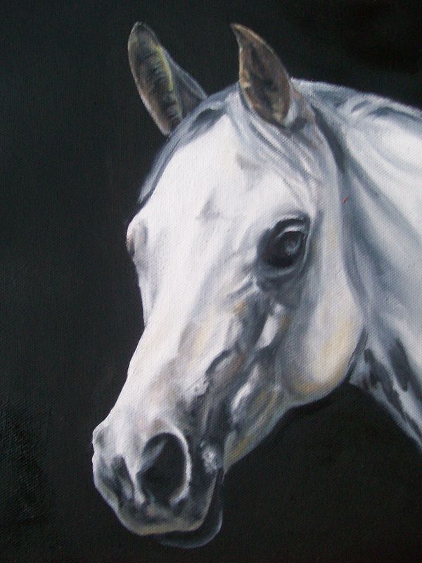 The White Horse Oil painting The White Horse by Richard Mountford