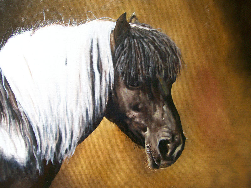 Daisy the Afro-fringed Pony Oil painting Daisy the Afro-fringed Pony by Richard Mountford