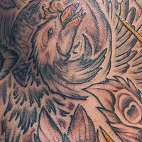 bgpeonixbird //images.artistrunwebsite.com/gallery/img_61631349026977_large.jpg?1425004807
