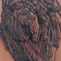 Seija's Raven Tattoo //images.artistrunwebsite.com/gallery/img_61751349027442_large.jpg?1425004820