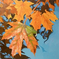 Leafiness //images.artistrunwebsite.com/gallery/img_677221381346904_large.jpg?1480319194