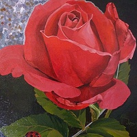 Lady bug Rose //images.artistrunwebsite.com/gallery/img_677251381347936_large.jpg?1480319194