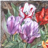 Tulip Garden //images.artistrunwebsite.com/gallery/img_677261381349241_large.jpg?1494965025