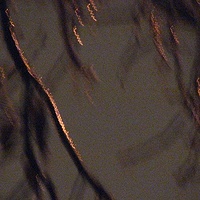 iceskew_5668 //images.artistrunwebsite.com/gallery/img_796861389333111_large.jpg?1425008397