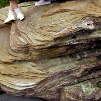 Cast Monolith w/ Fossils //images.artistrunwebsite.com/gallery/img_852531457910214_large.jpg?1516533517