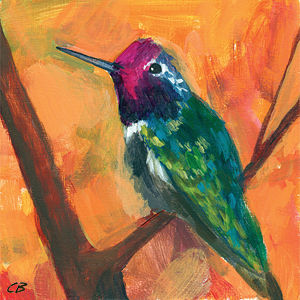 Hummingbird C079 Print Hummingbird C079 by Cody Blomberg