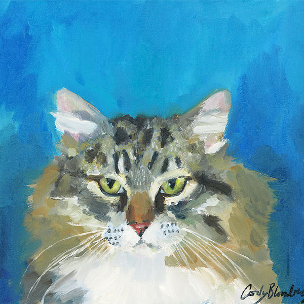 Rocky Kitty C046 Print Rocky Kitty C046 by Cody Blomberg