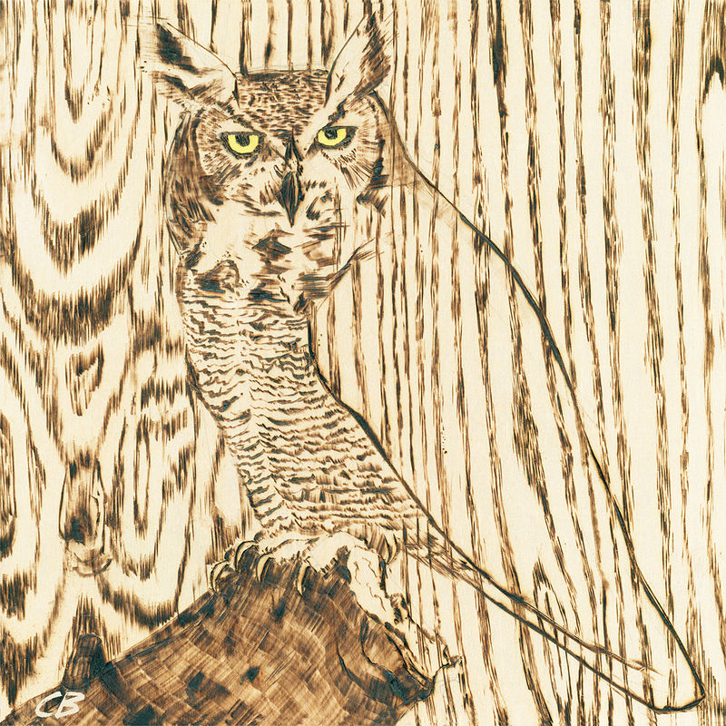 Hoened Owl C007 Print Hoened Owl C007 by Cody Blomberg
